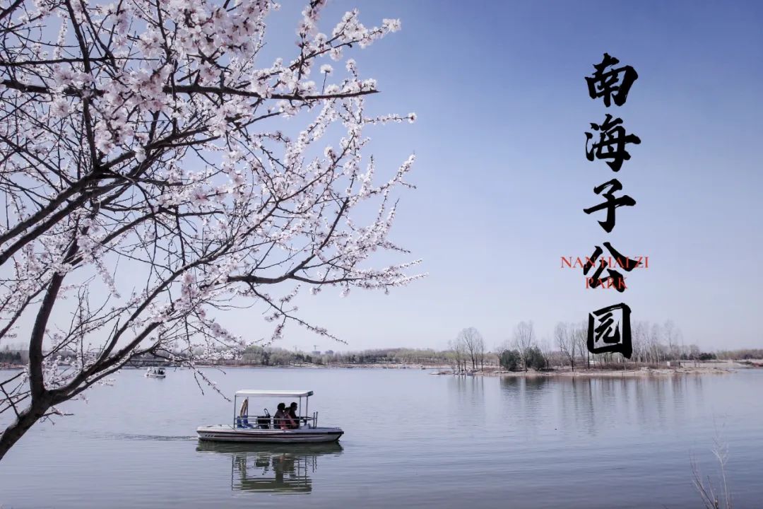 南海子游园 | 五一假期，，，，，，，，请收好这份攻略